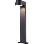 D'Lite Éclairage de jardin Lira Noir 7W 600lm 830 Blanc Chaud | IP54 