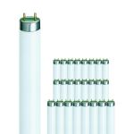 Lot 25x Philips MASTER TL-D Super 80 36W - 840 Blanc Froid | 120cm