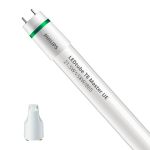 Philips Tube LED T8 MASTER (EM/Direct 230V) Ultra Efficiency 21.5W 3700lm - 865 Lumière Du Jour | 150cm - Équivalent 58W