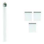Lot 25x Philips T5 Short 13W - 640 Blanc Froid | 52cm