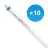 Lot 10x Philips Tube LED T5 MASTER (HF) High Efficiency 8W 1000lm - 830 Blanc Chaud | 55cm - Équivalent 14W