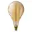 Philips Vintage LED Bulb E27 Poire Filament Dorée 5W 300lm - 820 Blanc Très Chaud | Équivalent 25W