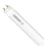 Osram Tube LED T8 SubstiTUBE Value (HF) Standard Output 8W 800lm - 840 Blanc Froid | 60cm - Équivalent 18W