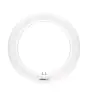 Osram Tube LED T9 SubstiTUBE Circulaire (EM/Direct 230V) 12W 1320lm - 865 Lumière Du Jour | Équivalent 22W