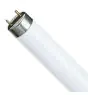 Philips MASTER TL-D Super 80 18W - 830 Blanc Chaud | 60cm - UNP 