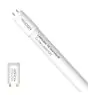 Noxion Tube LED T8 Avant (EM/Direct 230V) Standard Output 17.5W 1800lm - 830 Blanc Chaud | 120cm - Équivalent 36W