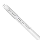 Ledvance Tube LED T5 Value Short (HF) High Efficiency 7W 770lm - 830 Blanc Chaud | 52cm - Équivalent 13W