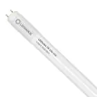 Ledvance Tube LED T8 Performance (UN) High Output 14W 2100lm - 865 Lumière Du Jour | 120cm - Équivalent 36W
