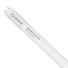 Ledvance Tube LED T8 Value (UN) High Output 8W 800lm - 830 Blanc Chaud | 60cm - Équivalent 18W