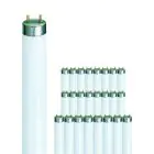 Lot 25x Philips MASTER TL-D Super 80 36W - 840 Blanc Froid | 120cm