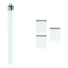 Lot 25x Philips MASTER Super 80 T5 Short 8W - 830 Blanc Chaud | 29cm