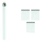 Lot 25x Philips MASTER Super 80 T5 Short 8W - 827 Blanc Très Chaud | 29cm