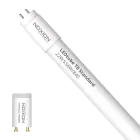 Noxion Tube LED T8 Avant (EM/Direct 230V) Standard Output 22W 2300lm - 840 Blanc Froid | 150cm - Équivalent 58W
