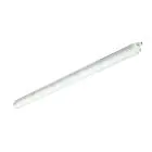 Philips Réglette LED Étanche CoreLine WT120C 61W 8000lm - 840 Blanc Froid | 150cm - Interact Dimmable