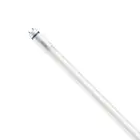 Philips MASTER LED T8 Conventional (EM), Mains (AC) High Output T8 7.6W 1150lm - 840 Blanc Froid | 60cm - Équivalent 18W