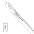 Noxion Tube LED T8 Avant (EM/Direct 230V) Standard Output 22W 2300lm - 830 Blanc Chaud | 150cm - Équivalent 58W