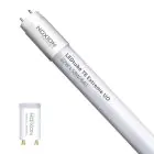 Noxion Tube LED T8 Avant Extreme (EM/Direct 230V) Ultra Output 22W 3300lm - 840 Blanc Froid | 150cm - Équivalent 58W