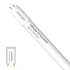 Noxion Tube LED T8 Avant (EM/Direct 230V) Standard Output 9W 900lm - 865 Lumière Du Jour | 60cm - Équivalent 18W