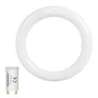 Noxion Tube LED T9 Avant Circulaire (EM/Direct) 20W 2200lm - 840 Blanc Froid | 40cm - Équivalent 40W