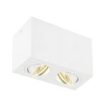 SLV Triledo Dubbel Plafondlamp Aluminium Wit 14W 1300lm 38D - 830 Warm Wit