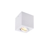 SLV Triledo Enkel Plafondlamp Aluminium Wit | Geschikt voor 1x GU10 