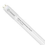 Ledvance LED Buis T8 Performance (UN) Ultra Output 7.5W 1100lm - 865 Daglicht | 60cm - Vervangt 18W