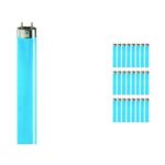 Voordeelpak 25x Philips MASTER TL-D 36W - Blauw | 120cm