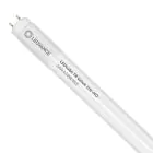 Ledvance LED Buis T8 Value (UN) High Output 24W 2800lm - 865 Daglicht | 150cm - Vervangt 58W