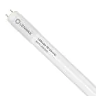Ledvance LED Buis T8 Value (UN) High Output 8W 900lm - 865 Daglicht | 60cm - Vervangt 18W
